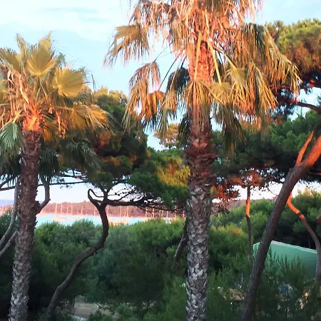 Pinede Vue 5 Pers Refait A Neuf Balneo Clim Parc Exotique Lejlighed