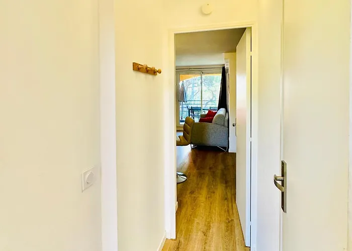 Pinede Vue Acces Direct A La De La Badine Clim Jacuzzi Piscine Apartament *