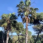 Pinede Vue Accés Direct à La De La Badine Clim Jacuzzi Piscine Hyères