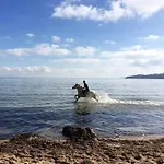 Pinede Vue Acces Direct A La De La Badine Clim Jacuzzi Piscine Apartment Hyeres