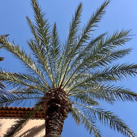 Pinede Vue Clim Jacuzzi Apartment *