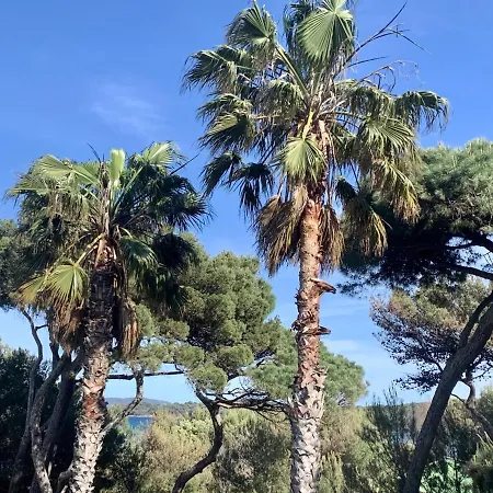 Pinede Plage 5 Personnes Climatisation Vue Mer Et Parc Hyères