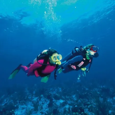 Pinede Vue Clim Jacuzzi * Hyères