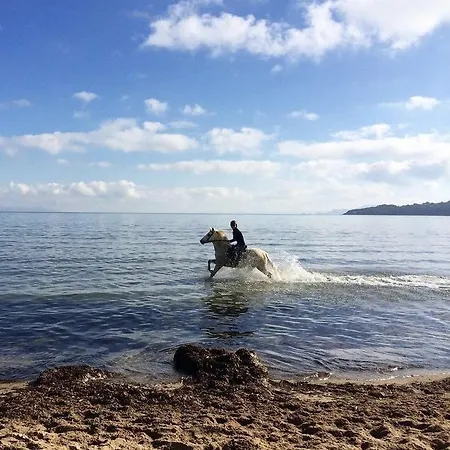Pinede Plage 5 Personnes Climatisation Vue Mer Et Parc شقة Hyères