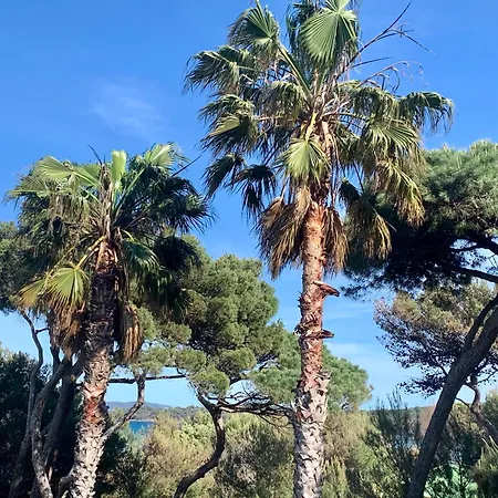 Pinede Plage 5 Personnes Climatisation Vue Mer Et Parc * Hyères