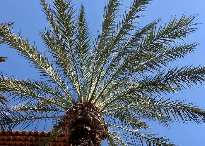 Pinede Vue Accés Direct à La De La Badine Clim Jacuzzi Piscine Appartamento *