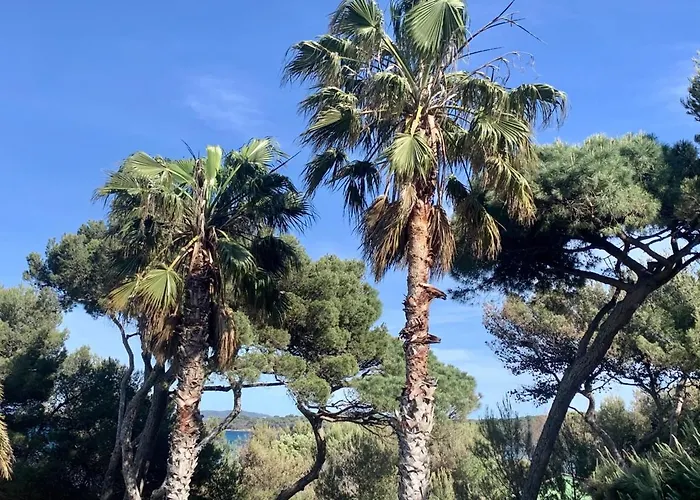 Pinede Vue Acces Direct A La De La Badine Clim Jacuzzi Piscine Hyères