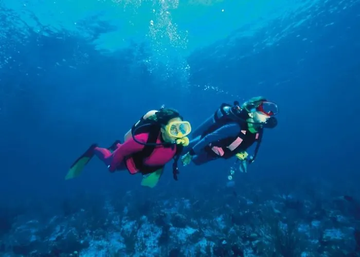 Pinede Vue Accés Direct à La De La Badine Clim Jacuzzi Piscine * Hyères