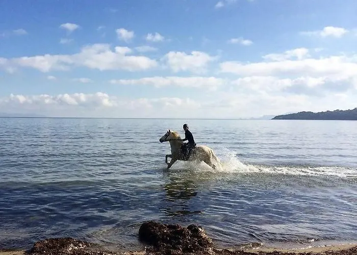 Pinede Vue Acces Direct A La De La Badine Clim Jacuzzi Piscine Lägenhet Hyères