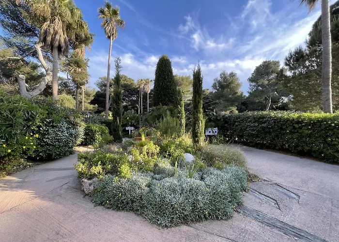 Pinede Vue Accés Direct à La De La Badine Clim Jacuzzi Piscine *
