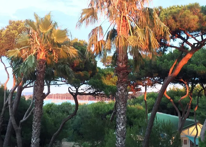 Pinede Vue Accés Direct à La De La Badine Clim Jacuzzi Piscine Appartamento